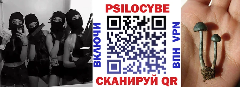 Галлюциногенные грибы Psilocybe  Калязин 